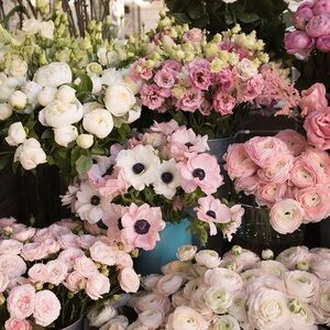 Spring Closet Cleanout